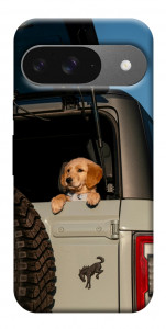 Чехол Dog in the car для Google Pixel 10