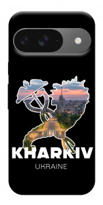 Чохол Kharkiv для Google Pixel 10 Pro
