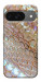 Чехол Gold snake skin для Google Pixel 10