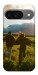 Чехол Happy couple для Google Pixel 10