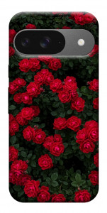 Чохол Eternal roses для Google Pixel 10
