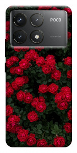 Чохол Eternal roses для Xiaomi Poco F6 Pro