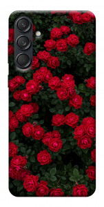 Чохол Eternal roses для Galaxy M55