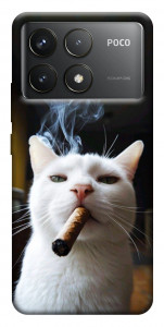 Чохол Cat cigar для Xiaomi Poco F6 Pro
