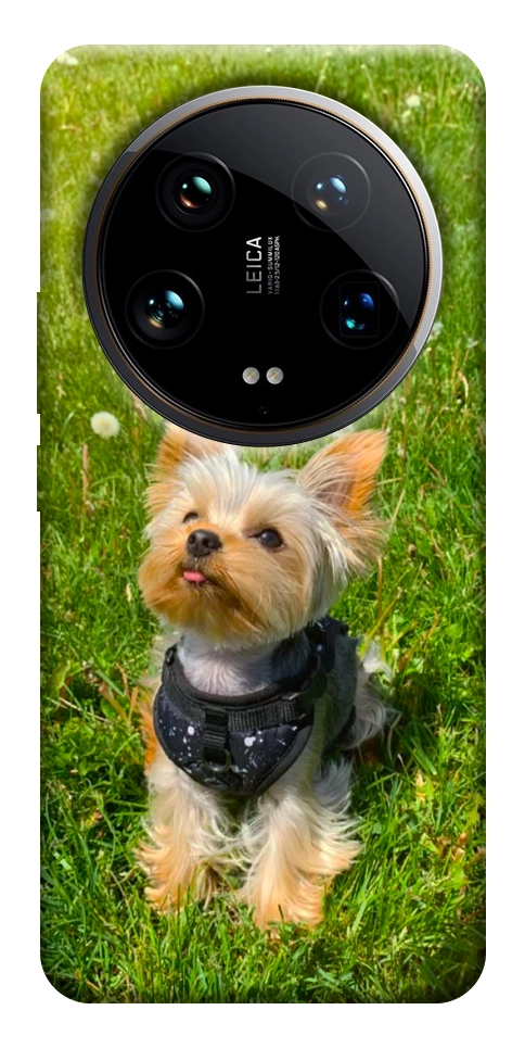 Чехол Йорк в траве для Xiaomi 14 Ultra