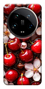 Чохол Черешня для Xiaomi 14 Ultra