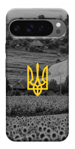 Чохол Душа України для Google Pixel 10 Pro XL