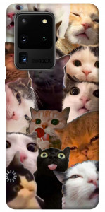 Чохол Сats сollage для Galaxy S20 Ultra (2020)