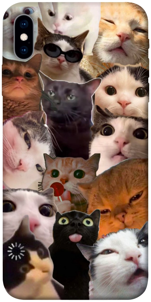 Чохол Сats сollage для iPhone XS