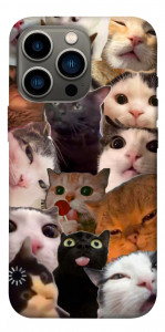 Чохол Сats сollage для iPhone 13 Pro