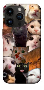 Чехол Сats сollage для iPhone 14 Pro