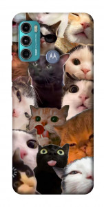 Чехол Сats сollage для Motorola Moto G60