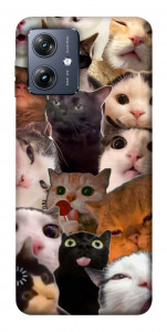 Чехол Сats сollage для Motorola Moto G54