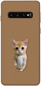 Чехол Kitty standing для Galaxy S10 (2019)