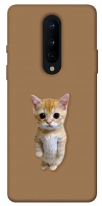 Чохол Kitty standing для OnePlus 8