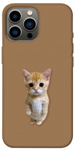 Чохол Kitty standing для iPhone 12 Pro Max