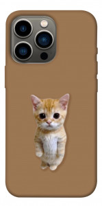 Чохол Kitty standing для iPhone 13 Pro