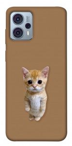 Чехол Kitty standing для Motorola Moto G23