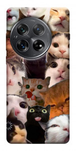 Чохол Сats сollage для OnePlus 12