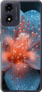 Чехол для Motorola Moto G04 Роса на цветке (Фиолетовый)