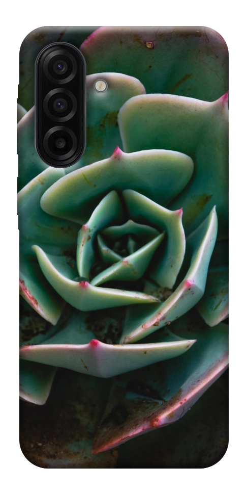 Чехол Эхеверия для Galaxy A17 5G