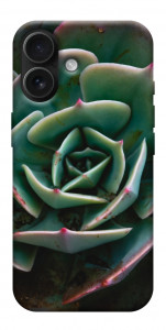 Чехол Эхеверия для iPhone 17