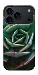 Чехол Эхеверия для iPhone 17 Pro Max