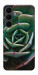 Чехол Эхеверия для Galaxy S25 FE