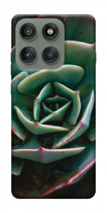 Чехол Эхеверия для Motorola Edge 60 Pro