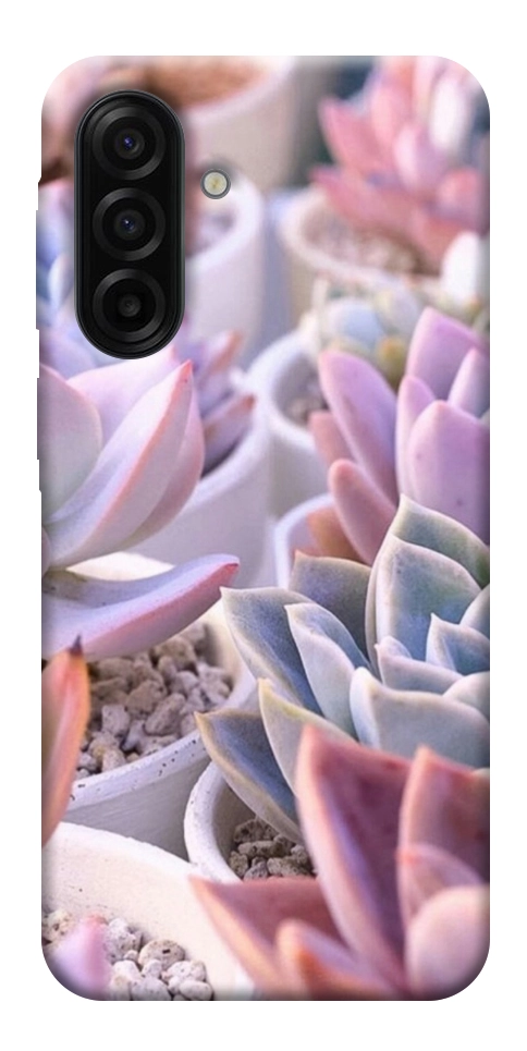 Чехол Эхеверия 2 для Galaxy A17 5G