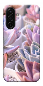 Чехол Эхеверия 2 для Galaxy A17 5G
