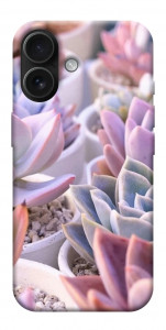 Чехол Эхеверия 2 для iPhone 17