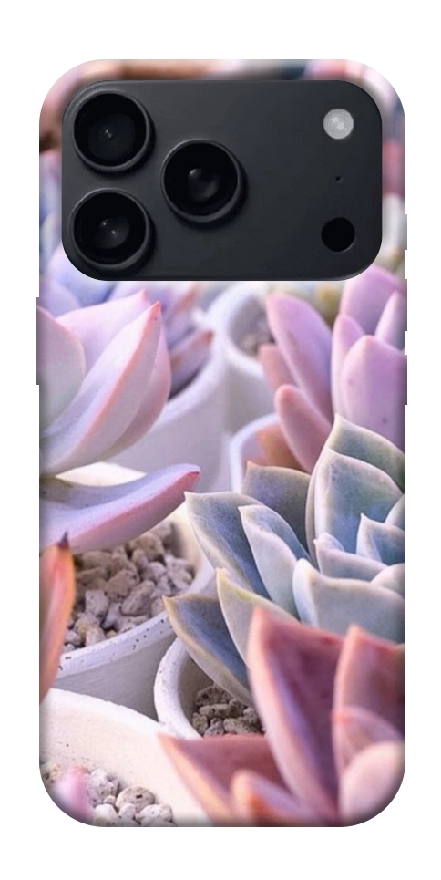 Чехол Эхеверия 2 для iPhone 17 Pro Max