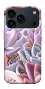 Чехол Эхеверия 2 для iPhone 17 Pro Max