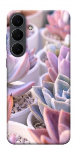 Чехол Эхеверия 2 для Galaxy S25 FE
