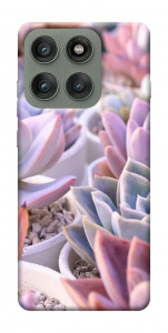 Чехол Эхеверия 2 для Motorola Edge 60 Pro