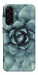 Чехол Суккуленты для Galaxy A17 5G