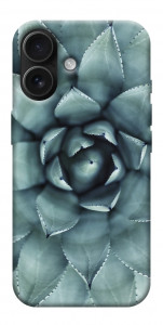 Чехол Суккуленты для iPhone 17