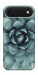Чехол Суккуленты для iPhone 17 Air