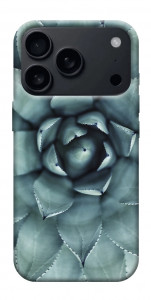 Чехол Суккуленты для iPhone 17 Pro Max