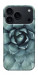 Чохол Сукуленти для iPhone 17 Pro Max