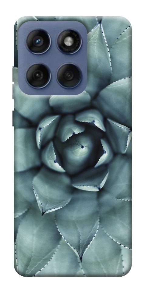 Чехол Суккуленты для Motorola Edge 60 Fusion