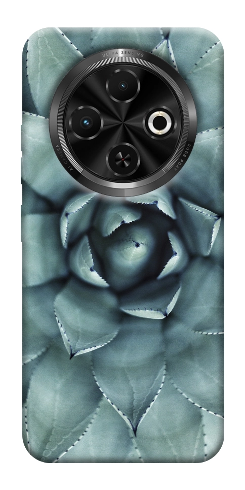 Чехол Суккуленты для TECNO Spark 30C (KL5n)