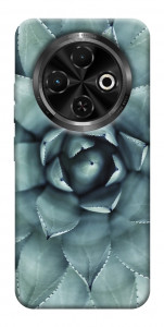 Чохол Сукуленти для TECNO Spark 30C (KL5n)
