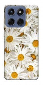 Чехол Chamomile для Motorola Edge 60 Fusion