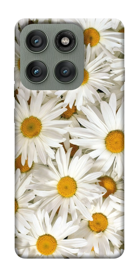 Чехол Chamomile для Motorola Edge 60 Pro