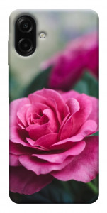 Чехол Роза в саду для Galaxy A07