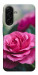 Чехол Роза в саду для Galaxy A17 5G