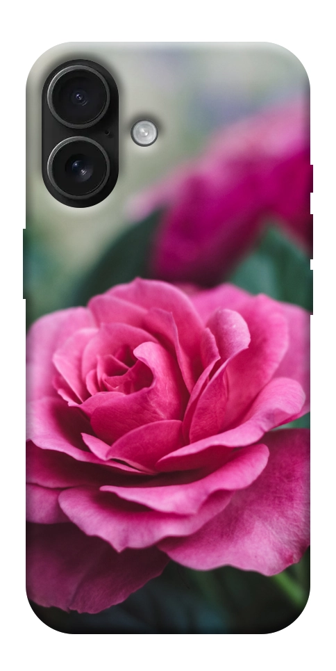 Чехол Роза в саду для iPhone 17