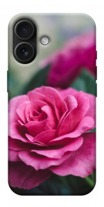 Чехол Роза в саду для iPhone 17